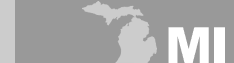 Michigan Name Change Law